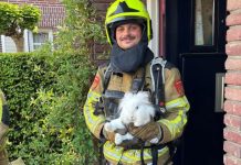 Konijnen gered uit huis vol gas in Oisterwijk Konijnen gered uit huis vol gas in Oisterwijk