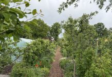 Open Dag van Volkstuinders ’t Westend volkstuin