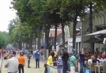 Basiscursus jeu de boules bij Petanqueclub Oisterwijk Basiscursus jeu de boules bij Petanqueclub Oisterwijk
